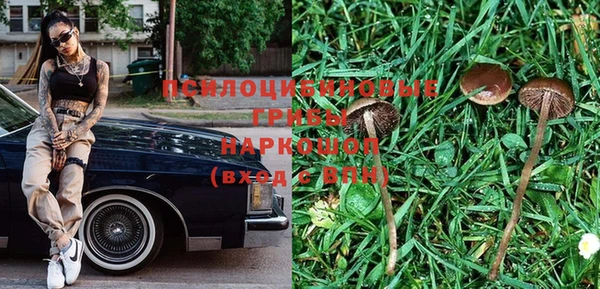 а пвп мука Белокуриха
