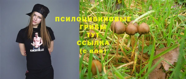 кокс Беломорск
