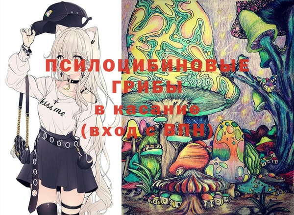 крисы Богородск