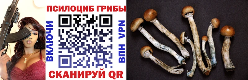 Псилоцибиновые грибы мухоморы  KRAKEN как войти  Воркута  наркотики 