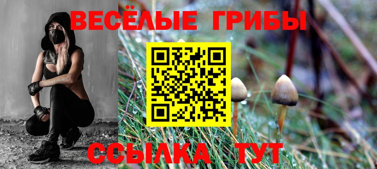 Псилоцибиновые грибы Psilocybe Воркута